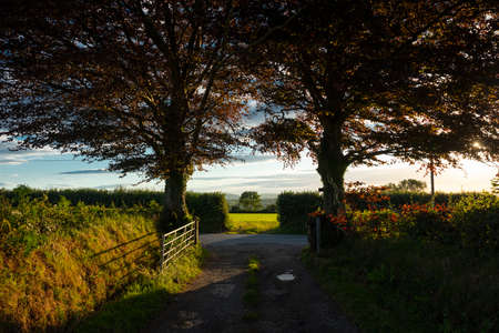 View of the Carmarthenshire landscape in Wales, on the hills south of Pontwelly.  July 2020の写真素材
