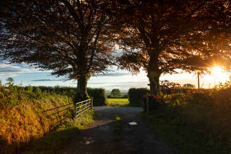 View of the Carmarthenshire landscape in Wales, on the hills south of Pontwelly.  July 2020の写真素材