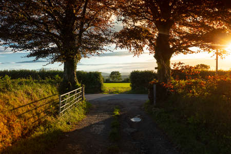 View of the Carmarthenshire landscape in Wales, on the hills south of Pontwelly.  July 2020の写真素材