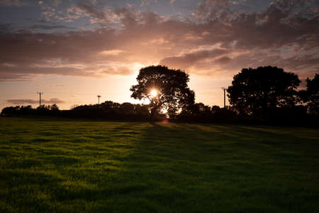View of the Carmarthenshire landscape in Wales, on the hills south of Pontwelly.  July 2020の写真素材