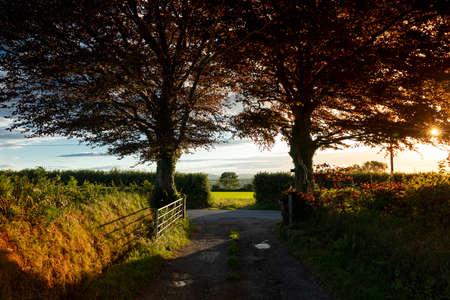 View of the Carmarthenshire landscape in Wales, on the hills south of Pontwelly.  July 2020の写真素材