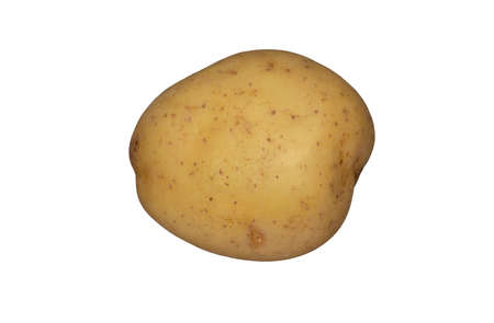 A white potato on a plain white backgroundの写真素材