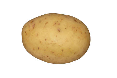 A white potato on a plain white backgroundの写真素材