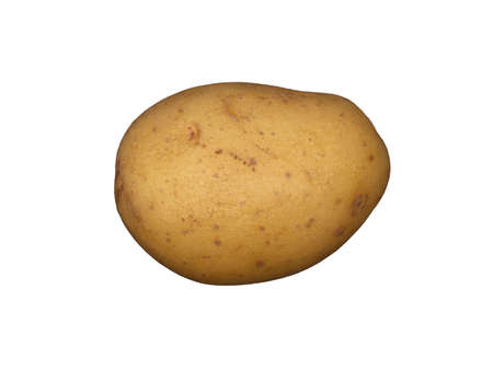 A white potato on a plain white backgroundの写真素材