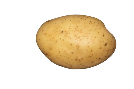 A white potato on a plain white backgroundの写真素材