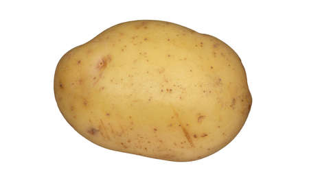 A white potato on a plain white backgroundの写真素材