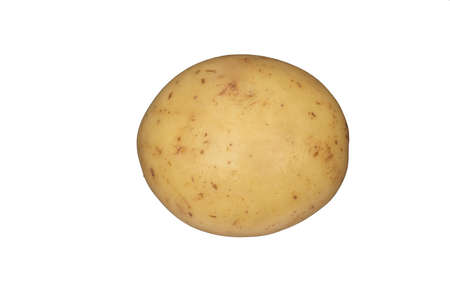 A white potato on a plain white backgroundの写真素材