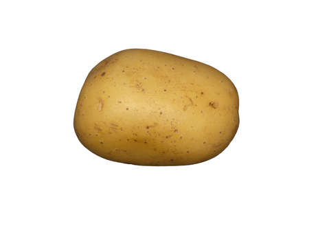 A white potato on a plain white backgroundの写真素材