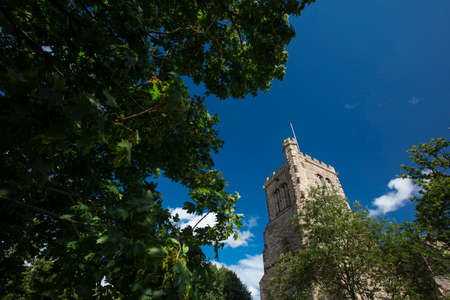 A white potato on a plain green background ready for easy keyingの写真素材