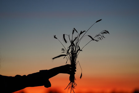 A woman's hand holds a raised tuft of meadow flowers against the sky in the evening. A contour...