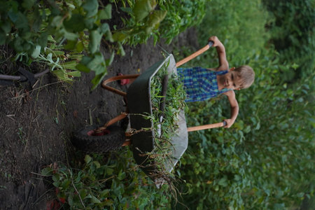 Cute little boy driving the wheelbarrow in the garden through the flower. Male try to move cart,...