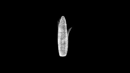 3D corn start on black bg. Object dissolved white flickering particles. Business advertising backdrop. science concept. For title, text, presentation. 3D animation.の写真素材
