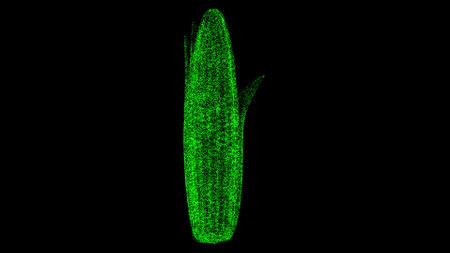 3D corn start on black bg. Object dissolved green flickering particles. Business advertising backdrop. science concept. For title, text, presentation. 3D animation.の写真素材