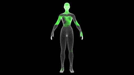 The spread of antivirus through volumetric woman body on black background. Demonstration of cure of the virus in the body. medical concept. Scanning and treatment of the body. 3D animation.の写真素材