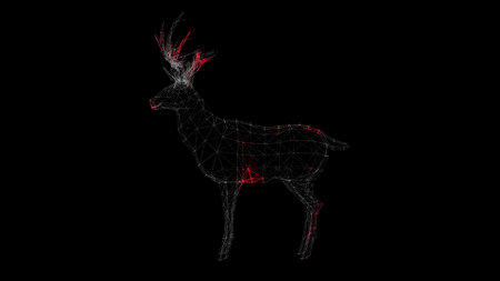 Spread of virus through volumetric body of deer on black background. Visual demonstration of virus in animal body. science medical concept. For title, presentation. 3D animation.の写真素材