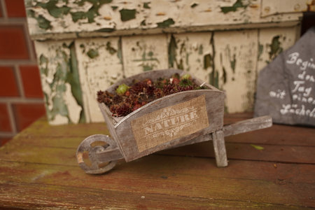Old wheelbarrow flowerbed colorfull flowers garden decor.の写真素材