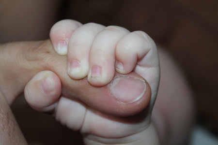 little newborn baby hand squeezing daddy's finger.の写真素材