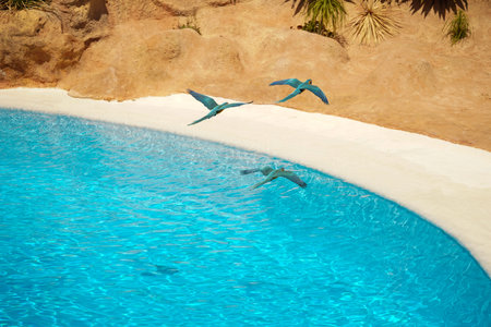 Tropical parrots fly over the blue water against the backdrop of rocks. Macaw flying over water.の写真素材