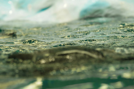 Close-up of the water surface, selective focus, soft focus.の写真素材