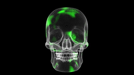 The spread of antivirus through 3D skull on black background. Demonstration of cure of the virus. medical concept. Scanning and treatment of the body. 3D animationの写真素材