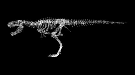 3D Tyrannosaurus rex skeleton on black bg. Object dissolved white flickering particles. Business advertising backdrop. science concept. For title, text, presentation. 3D animationの写真素材
