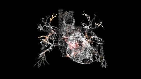 3D Heart Scan. Heart Scanning Interface. HUD heart analysis. Medical science anatomy concept. For title, text, presentation. 3d animationの写真素材