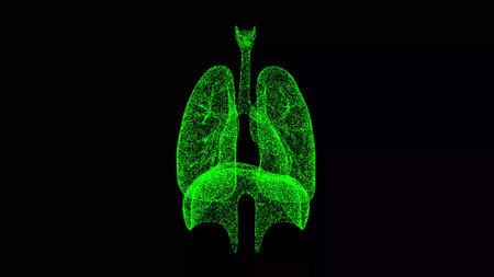 3D human lungs on black bg. Respiratory system human body. Object dissolved flickering particles. scientific medical concept. For title, text, presentation. 3d animationの写真素材