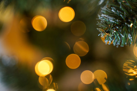 Spruce branch with bokeh lights. christmas concept. Christmas new year year background template. Shallow focus. copy spaceの写真素材