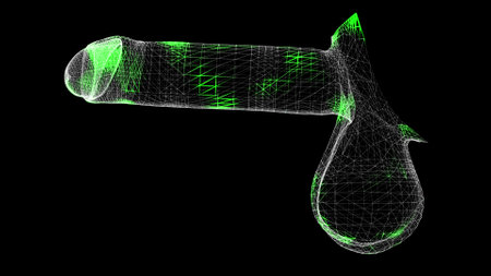 3D penis. Treatment of the male reproductive system. Diseases of the male genital organ. Man genital...