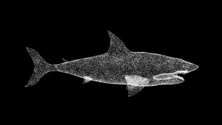 3D Shark on black background. Object made of shimmering particles. wild animal concept. protection of the environment. For title, text, presentation. 3d animationの写真素材