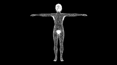3D naked woman on black bg. Medical animation of a woman with breast. 3d female or woman anatomy. Body biology medicine education concept. For title, text, presentation. 3d animationの写真素材