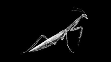 3D mantis on black bg. insect mantis. wild animal concept. protection of the environment. Zoo concept. For title, text, presentation. Object made of shimmering particles. 3d animationの写真素材