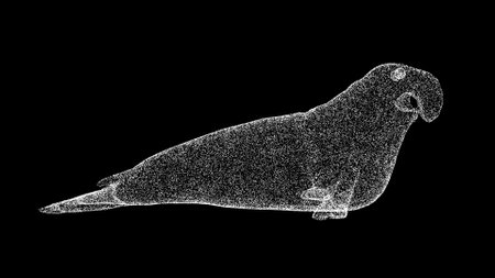 3D elephant seal on black bg. wild animal concept. protection of the environment. For title, text, presentation. Object made of shimmering particles. 3d animationの写真素材