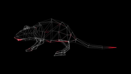 3D Rat scan on black bg. scientific research concept. laboratory tests. laboratory mouse. For title, text, presentation. 3d animationの写真素材