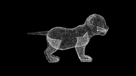 3D Baby lion on black background. wild animal concept. nature reserves and zoo. Business advertising backdrop. For title, text, presentation. 3d animationの写真素材