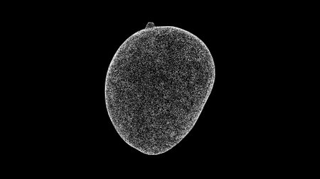 3D Mango is on black background. Fruits and vegetables concept. Tropical Food, Weight Loss and Fitness. Business advertising backdrop. For title, text, presentation. 3d animationの写真素材