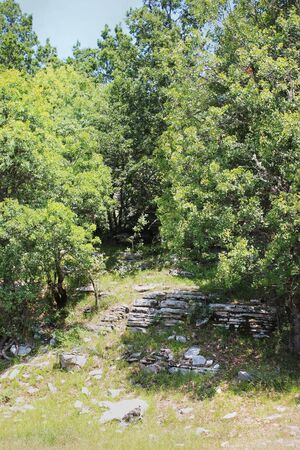 Stone forest natural rock formation Monodendri Zagori Greece