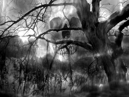 Digital illustration art. Mysterious, Dark and abandoned lake.の写真素材