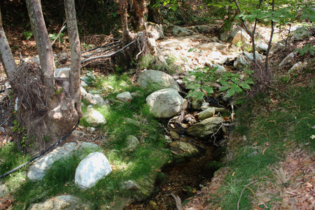 The path of the centaurs (after Cyclone Daniel) Portaria Pelion Greeceの写真素材