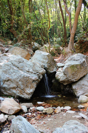 The path of the centaurs Portaria Pelion Greeceの写真素材