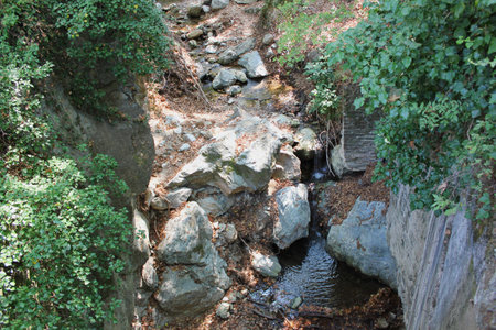 The path of the centaurs Portaria Pelion Greeceの写真素材