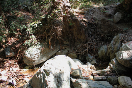 The path of the centaurs (after Cyclone Daniel) Portaria Pelion Greeceの写真素材