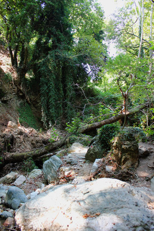 The path of the centaurs Portaria Pelion Greeceの写真素材