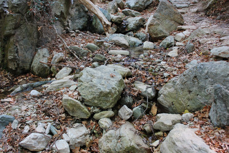 The path of the centaurs (after Cyclone Daniel) Portaria Pelion Greeceの写真素材