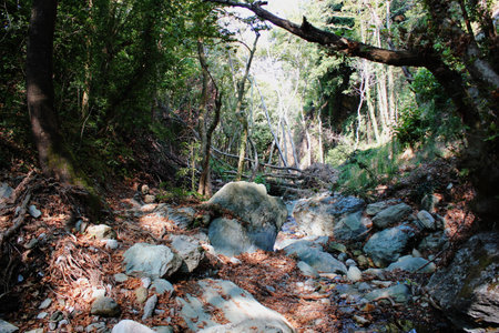 The path of the centaurs Portaria Pelion Greeceの写真素材