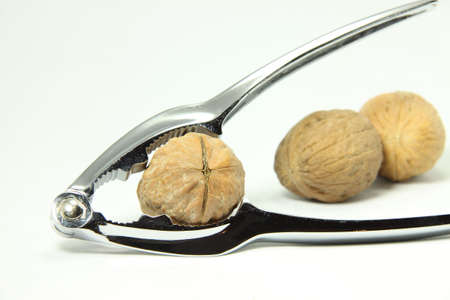 tools for walnut