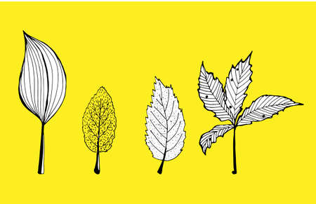 vector cute tree leaves on yellow backgroundのイラスト素材