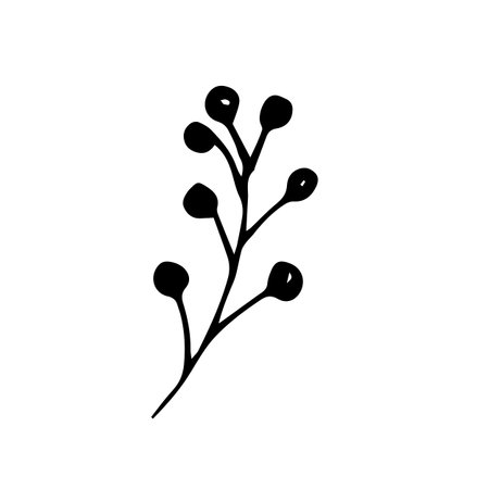 Vector of a twig with round berries.のイラスト素材