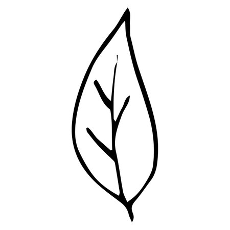 single vector element is leaf of a treeのイラスト素材