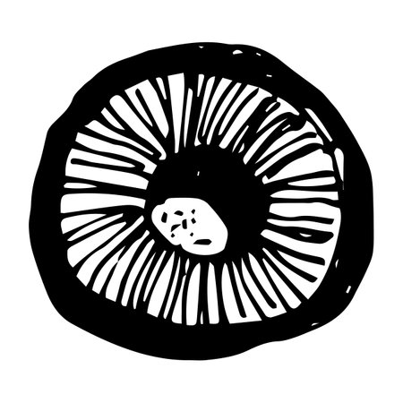 single vector element is a cut mushroom capのイラスト素材